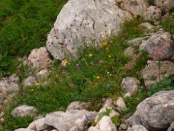 2013-08-18_Regina-F-Rau_Schachenhaus (068).JPG